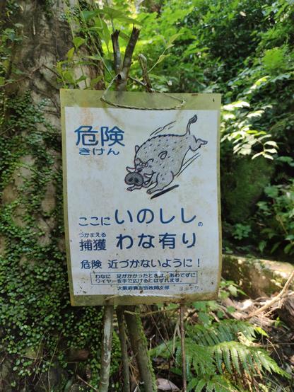 A sign in the forest, warning of wild boars. (I actually met one!)