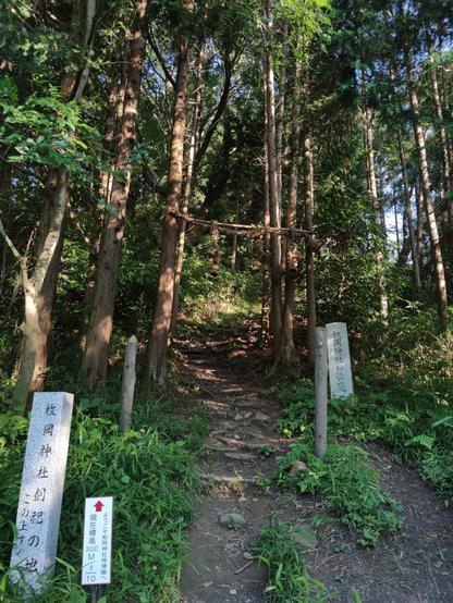 Natural steps in the forest, leading up a steep hill, with small stone pillars to the left and right, with Japanese writing on them.