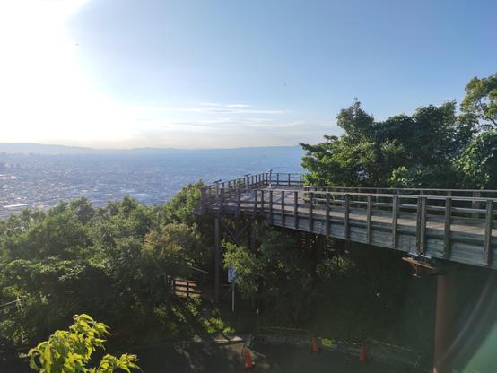 A wooden treetop walkway with a view of Osaka.