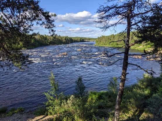 La rivière Juutuanjoki à Inari, l'eau est agitée, il y a des rochers au milieu. De part et d'autre, des forêts de sapins. Le ciel est bleu avec quelques nuages.
