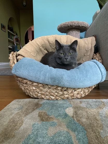 A sleepy looking dark gray cat with golden eyes sits in a basket between an aqua plush blanket and a tan cable blanket.