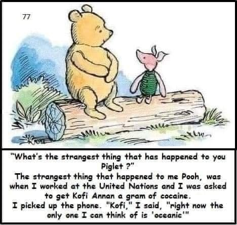 An image of Winnie the Pooh and Piglet sitting on a Log....the text below reads
“What's the strangest thing that has happened to you Piglet ?”
