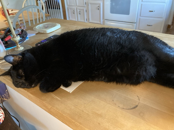A big black cat is asleep on the kitchen counter. There’s  basically no where else in the entire house for her to sleep. 