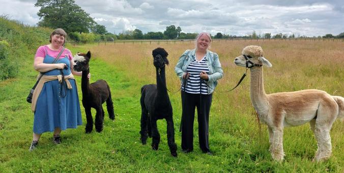 Two middle-aged woman and three alpacas, standing in a field.