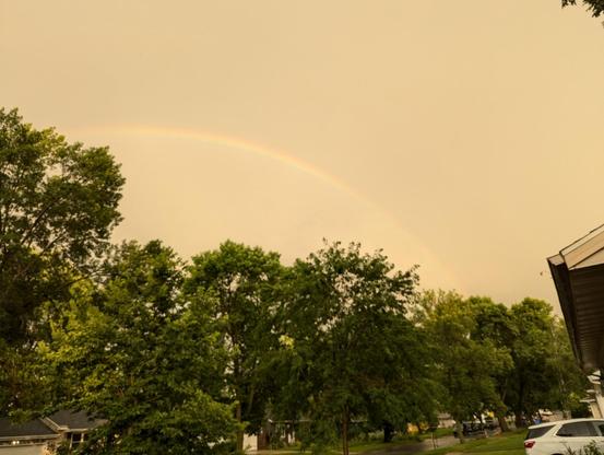 Rainbow above the trees