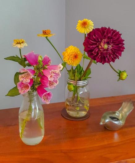 Two small, bright colored bouquets of dahlia, zinnia, and foxglove sit in jars on a cherry wood bar 