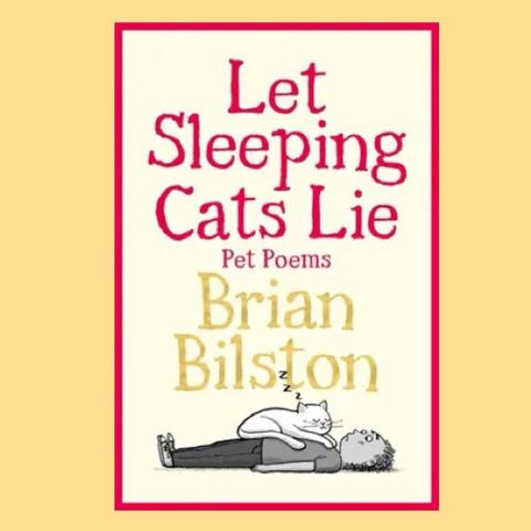 A picture of the cover of my new book Let Sleeping Cats Lie. It features an illustration of a sleepy cat atop a prostrate man.