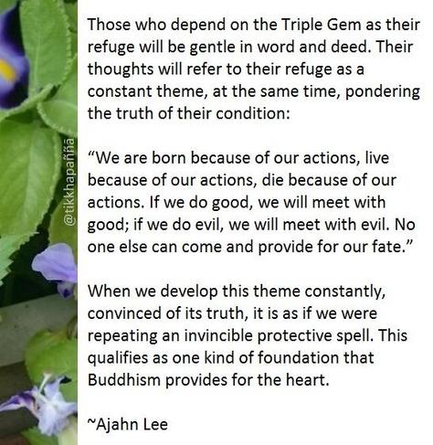 Those who depend on the Triple Gem as their refuge will be gentle in word and deed. Their thoughts will refer to their refuge as a constant theme, at the same time, pondering the truth of their condition:
“We are born because of our actions, live because of our actions, die because of our actions. If we do good, we will meet with good; if we do evil, we will meet with evil. No one else can come and provide for our fate.”
When we develop this theme constantly, convinced of its truth, it is as if we were repeating an invincible protective spell. This qualifies as one kind of foundation that Buddhism provides for the heart.
~Ajahn Lee