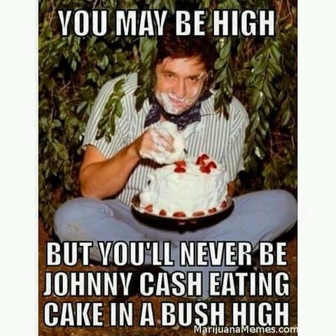 Johnny Cash eating cake while sitting in a bush

text: You may be high, but you'll never be Johnny Cash eating cake in a bush high