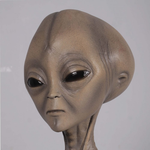 grey alien head.
