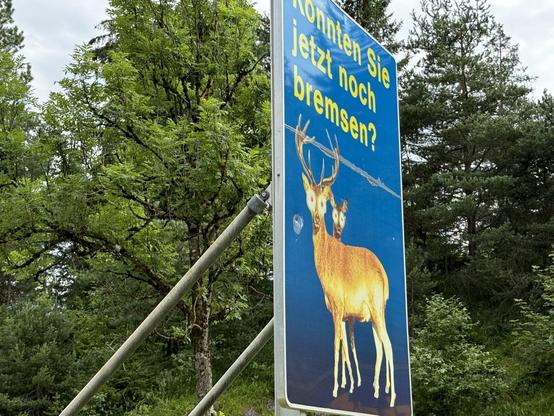 Road sign in Austria of deer with laser eyes reading “Konnten Sie jetzt noch bremsen?” 