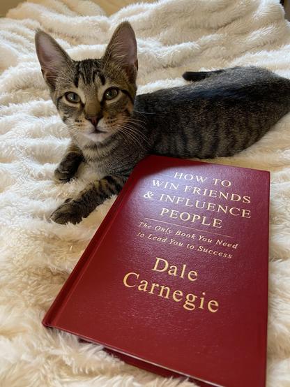 Photograph of Franklin the kitten next to my hardcover copy of “How to win friends and influence people” by Dale Carnegie (1936)