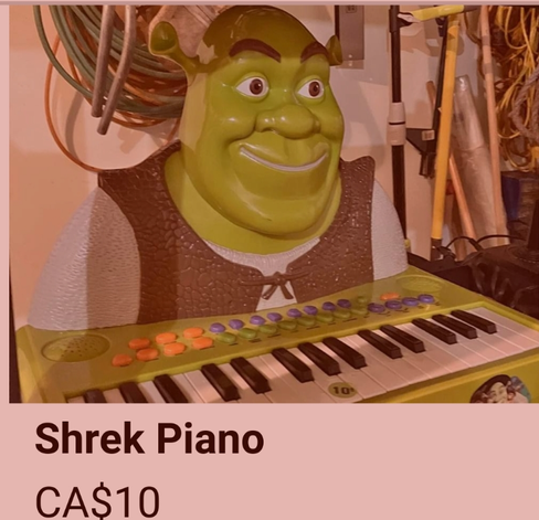 A garishly coloured plastic toy keyboard has a plastic Shrek moulded on to it staring at the player as they use it.

Price: 10 Canadian dollars - a small price to pay for the stuff of children's nightmares