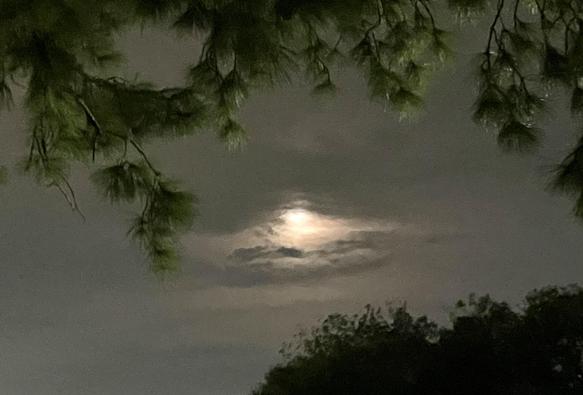 Full moon under clouds. 