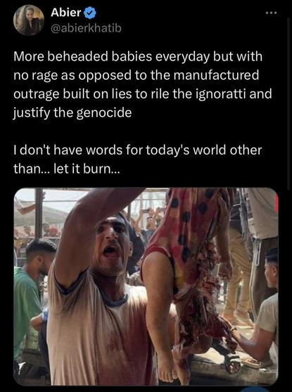 More beheaded babies everyday but with no rage as opposed to the manufactured outrage built on lies to rile the ignoratti and justify the genocide | don't have words for today's world other than... let it burn... 