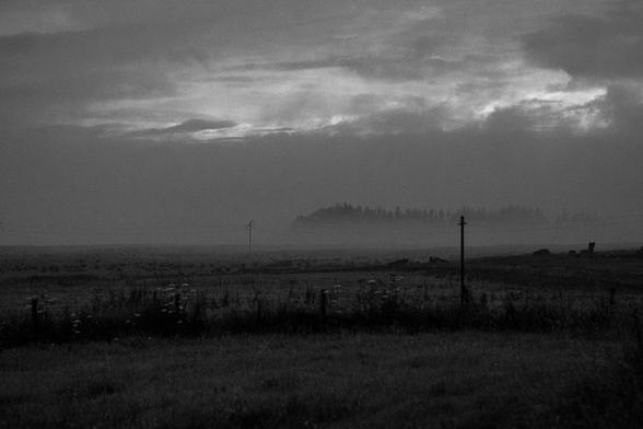 Black and White landscape - at dusk, fog envelopes a distant pine wood in highland Scotland