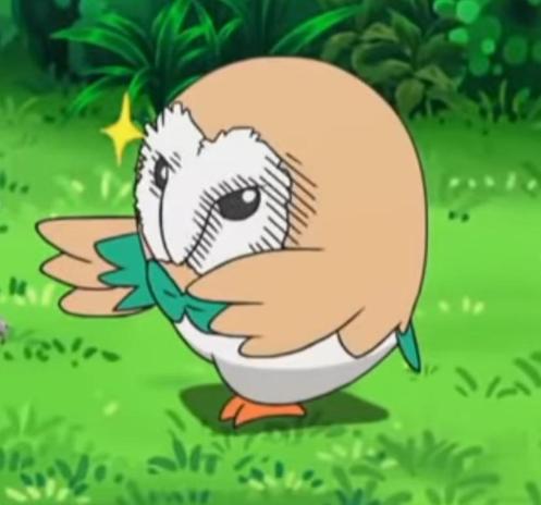 Rowlet turning with a determined barn owl face