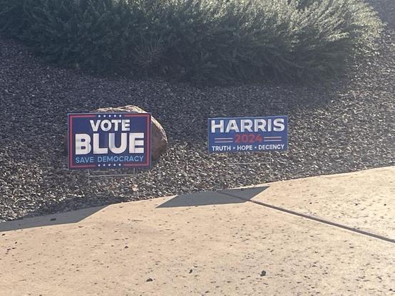 “Vote Blue” and “Harris 2024” lawn signs