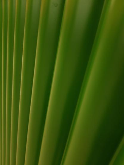 Closeup of the green corrugated surface on the side of a juice bar. It is photographed on a slight angle, so the ridges appear to fan out diagonally.