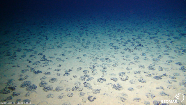 Imatge d'una estesa de nòduls polimetàl·lics a les profunditats de l'oceà (ROV Team/GEOMAR)