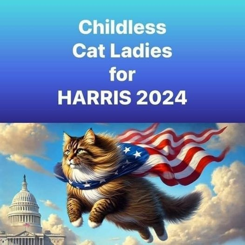 A large long-haired cat is flying gracefully through the air, the US Capitol dome in the background. An American flag is draped around its neck, rippling in the wind. The cat has a kind yet determined look on its face.