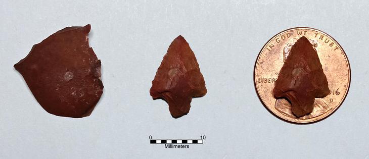 L>R) Red chert flake; triangular point with square shoulders & short, slightly tapered stem. It is 11 mm wide & 15.8 mm long; the point sitting on a 2016 US penny