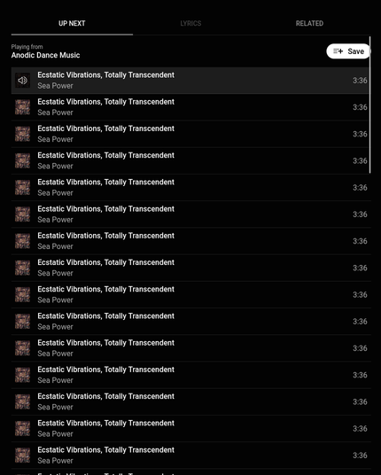a screenshot of a music playlist called 