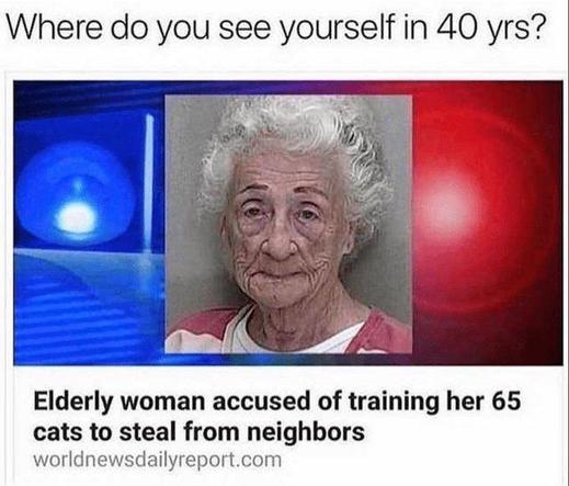 text: Where do you see yourself in 40 yrs?

[image of elderly woman over a background of blue and red lights]

Headline: Elderly woman accused of training her 65 cats to steal from neighbors

worldnewsdailyreport.com