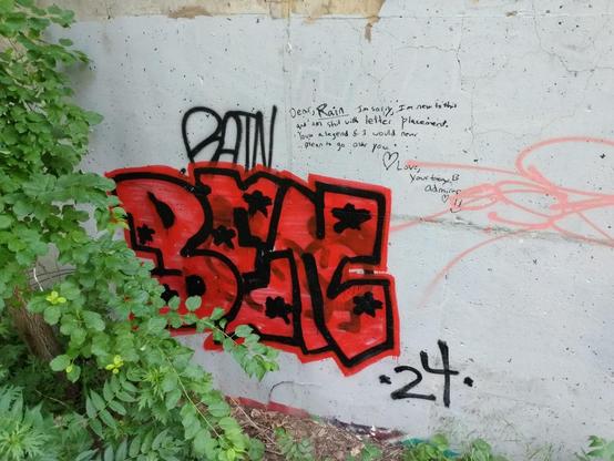 Photograph of a concrete wall with some plants on one side.  Older graffiti has been covered with white paint, and overtop of that is a large piece in red and black that says 