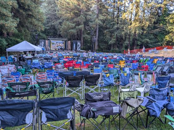 400 or so beach chairs in a redwood grove with a stage at the end