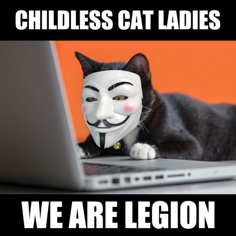A meme with white text over black in Impact font.
Text says: Childless Cat Ladies. We Are Legion.

Photo is a kitten working on a laptop, the kitten is wearing an 