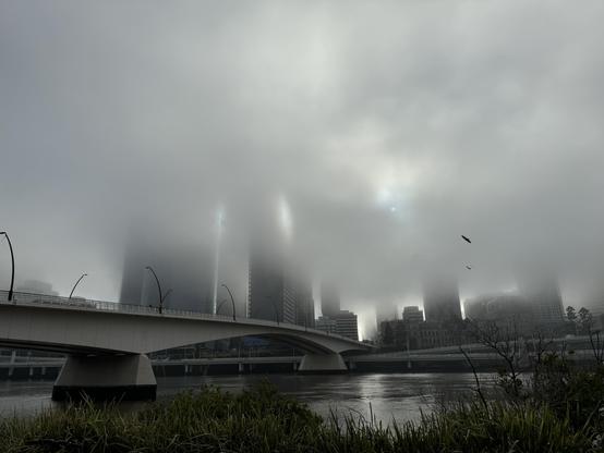 Looking across the Brisbane River with buildings obscured by fog 