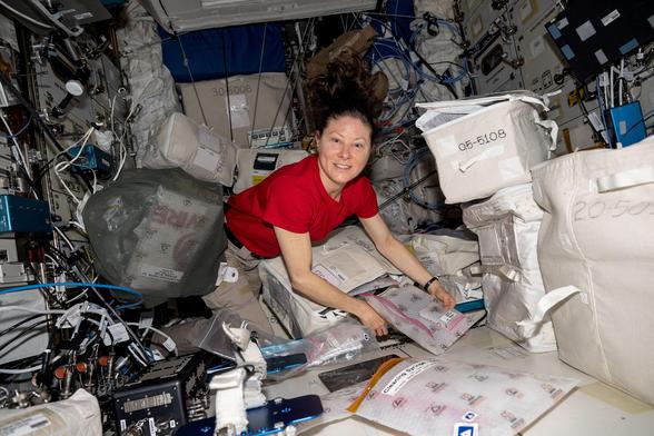 NASA_astronaut_Tracy_C_Dyson_unpacks_and_examines_research_gear_(iss071e403579).jpg