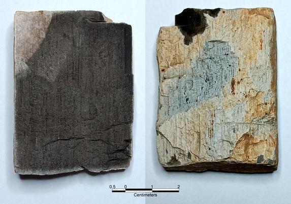 Dorsal & ventral views of a tabular rectangular rock. The dorsal surface is white to beige with wood grain. The ventral is mostly dark gray with wood grain.