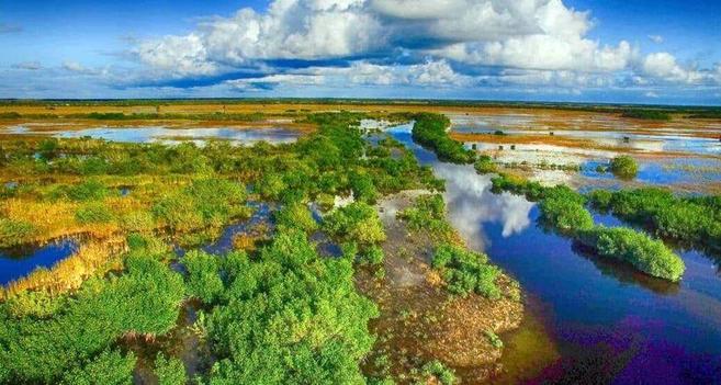 Marais du parc national des Everglades, Floride