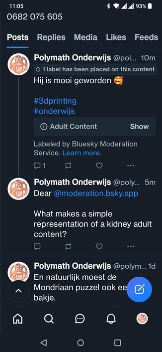 Screen van Polymath post waarbij de moderatie aangeeft dat de foto's 'adult content' zijn.