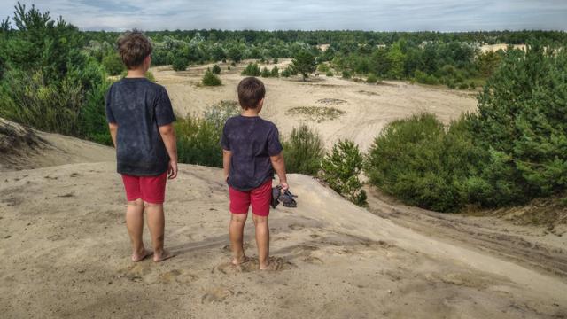Photo of a rolling landscape with sandy ground and trees scattered all around. Two kids facing away from the camera are looking into the distance from one of the dunes.