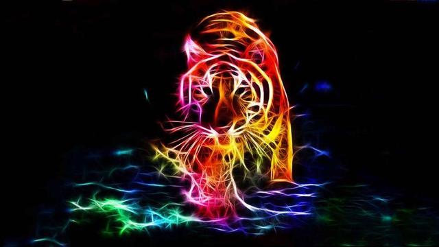 Art numérique, des traits lumineux sur fond noir figurent un tigre