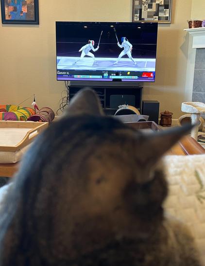 Living room view, looking toward a tv against the opposite wall showing two fencers in a match. In the foreground, the head of a black and brown cat looks off to the side, blurry and out of focus. Various cat toys, tunnels, scratchers, and beds are strewn about in the mid-ground. 