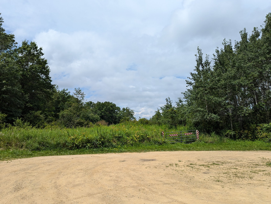 A view looking north of a dirt parking lot surrounded by lush native plants, and ringed by trees.
The sky is mostly clouds, but the view is in full sun.
There is a gate at the edge of the dirt lot, with reflective panels on it.