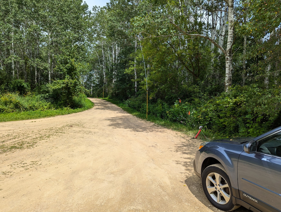 A view looking down a dirt road lined with trees.
In the lower right corner, the nose of my car is visible.
In front of my car is a red post with the antenna attached, leading to the two yellow poles down the dirt road, and ending at another red post in the distance.