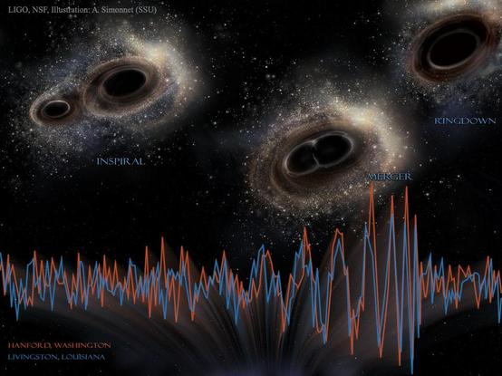 An illustration shared as a NASA Astronomy Picture of the Day. The detector data for GW150914 (the first detection), and an artistic representation of its binary black hole source. The source is shown at three stages, corresponding to the portions of the signal beneath.

Credit: LIGO/National Science Foundation/Aurore Simmonet/Somona State University