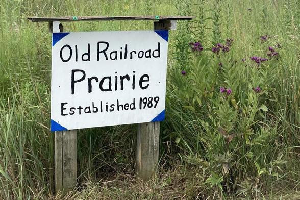 A hand-lettered sign at the edge of a grassy area.  The sign says:

Old Railroad Prairie 
Established 1989
