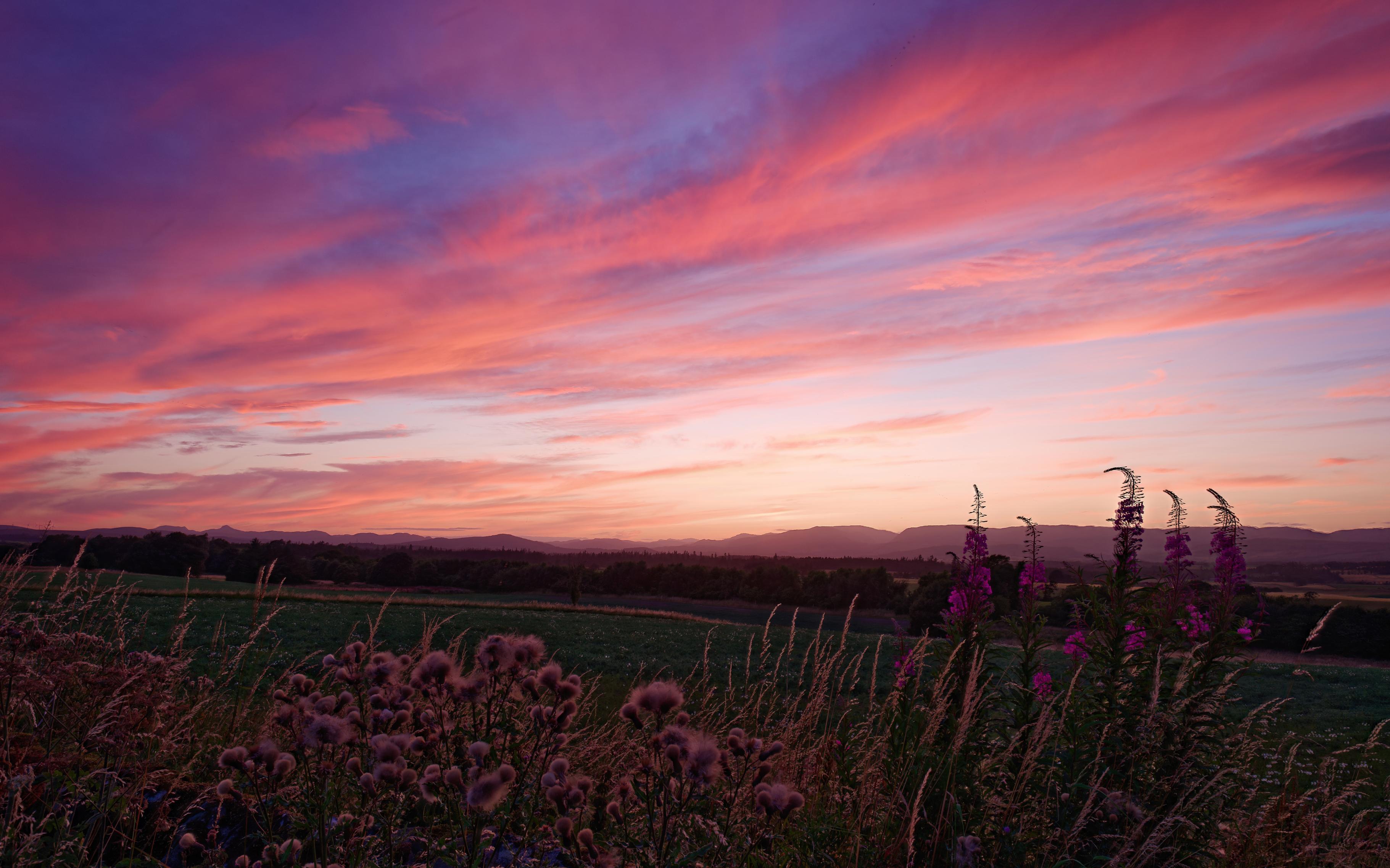 Dramatic orange-red clouds and blue sky of a beautiful sunset