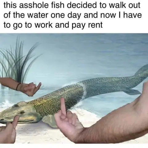 illustration of a fish emerging onto land, with real hands flipping it off from 3 angles edited in

Text: this asshole fish decided to walk out of the water one day and now I have to go to work and pay rent