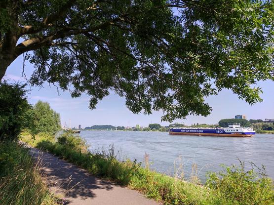 Frachter auf dem Rhein