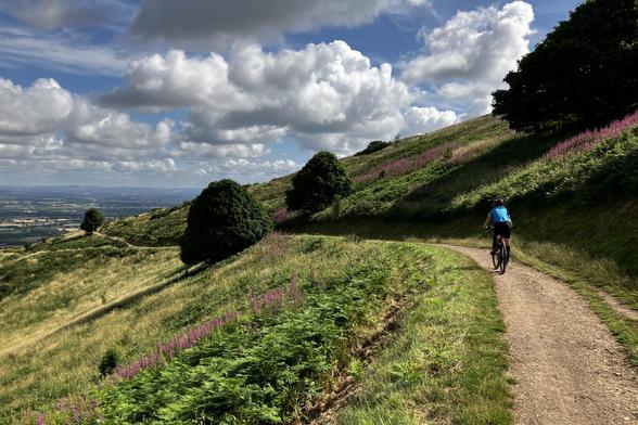 A child in a blue top and black shorts rides a bike away from the camera along a brown earth hillside path surrounded by green vegetation and pink flowers beneath a blue sky dotted with white clouds.