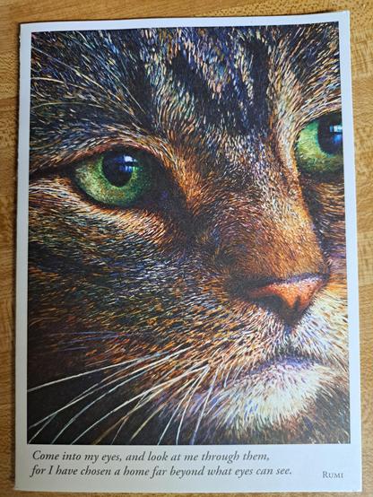 The front of the card shows the close-up of a face of a cat with green eyes, looking similar to our Bootsie. Below is a quote from Rumi about, in death, 