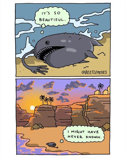 A drawn comic.

Sea creature resembling an anglerfish laying exhausted on a beach (obviously having just gotten out of the water) with imagined words 