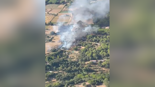 L'incendi a Sant Feliu de Guíxols ha començat en una zona d'horts i canyes (Bombers de la Generalitat)